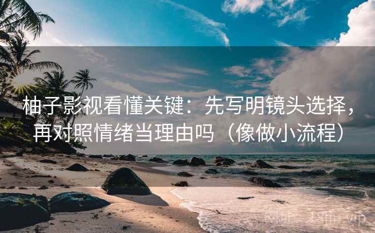柚子影视看懂关键：先写明镜头选择，再对照情绪当理由吗（像做小流程）